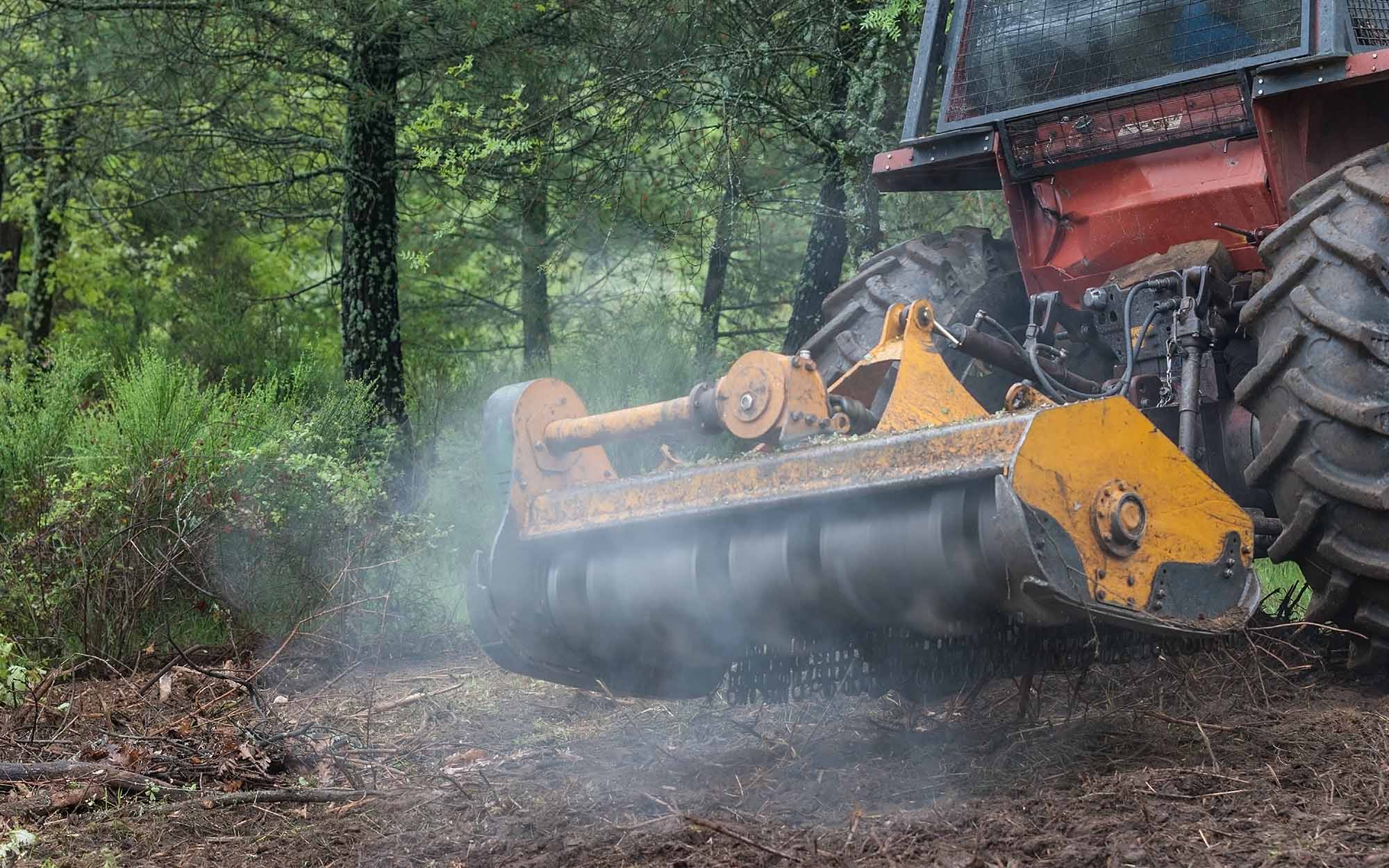 tractor doing forestry clearing